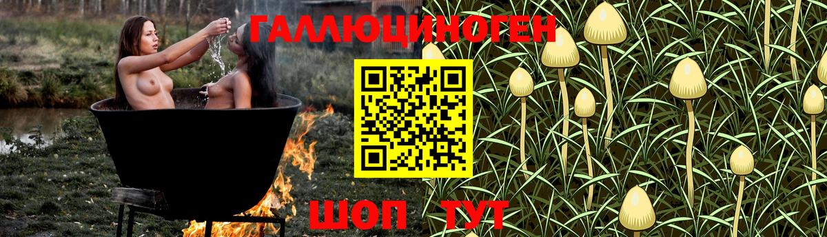 Галлюциногенные грибы прущие грибы Ангарск